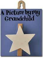 Order Blue peg (white star)